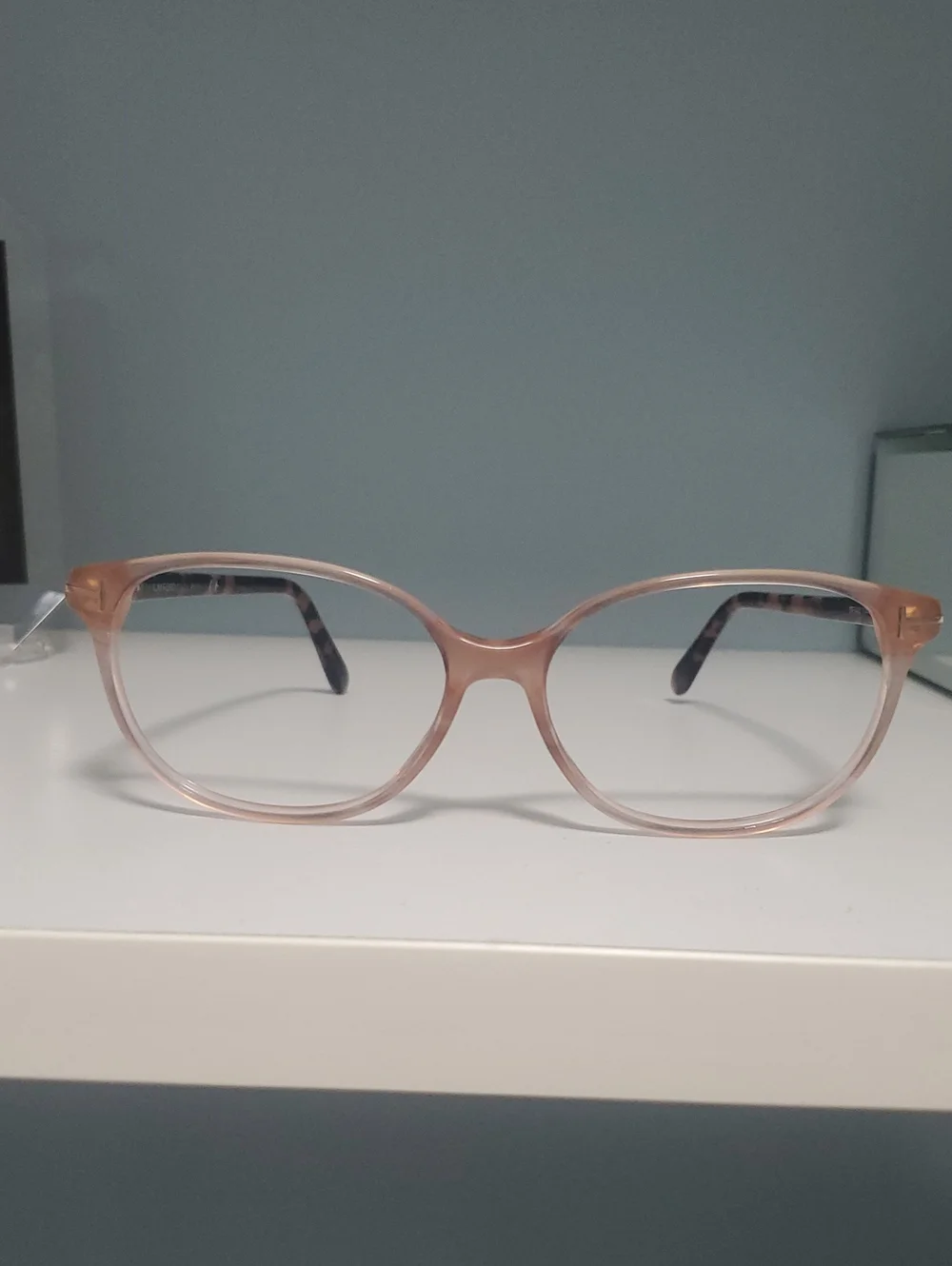 Tom Ford Women's Translucent PeachTone/Tortoise Rectangle Glasses